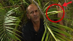 נס גלוי: איך בזכות עץ דקל ניצלה משפחה שלמה ב-7 באוקטובר?